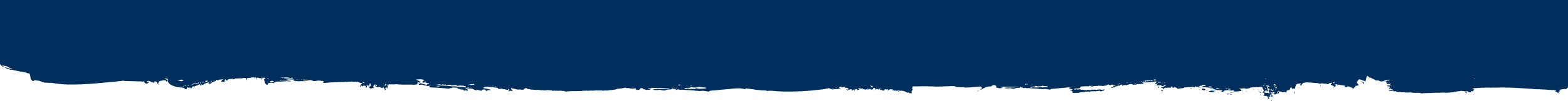 Pinsel Horizontal Dunkelblau Unten