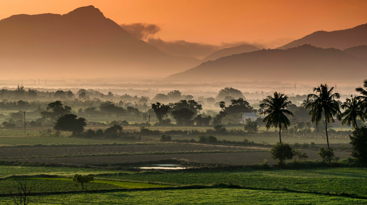 South asia webseite