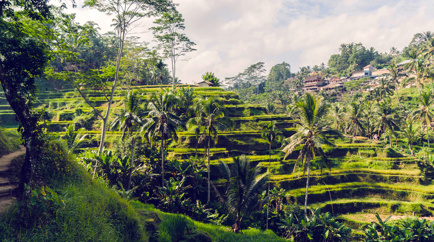 Southeast asia webseite