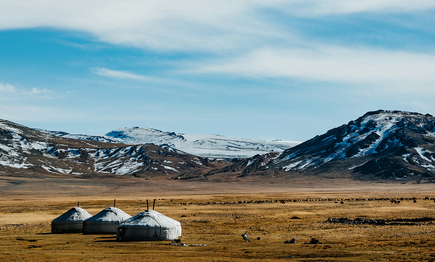 Central asia webseite