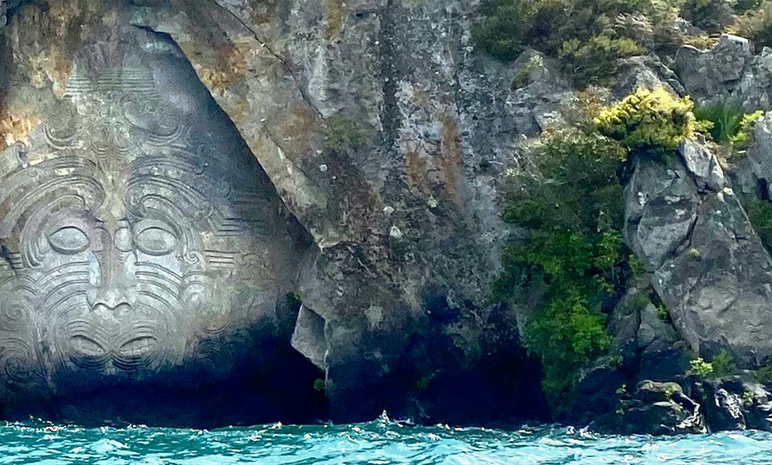 New zealand webseite