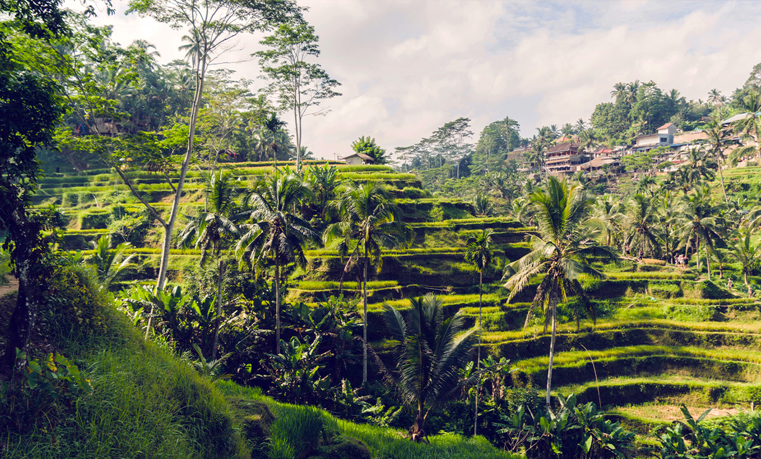 Southeast asia webseite