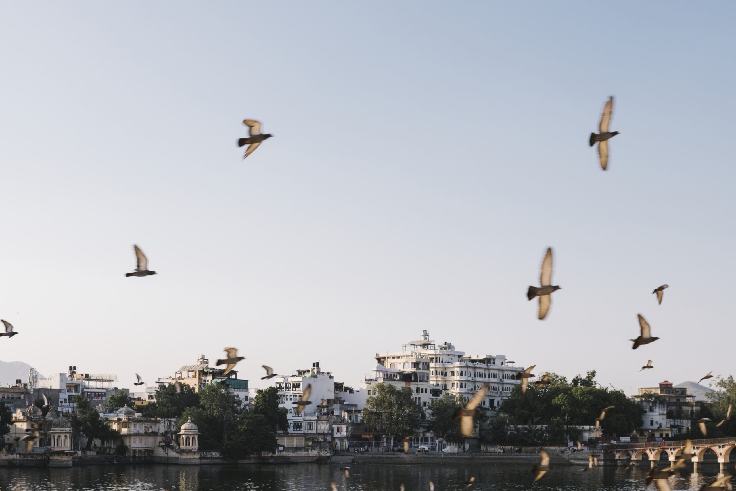Udaipur city view from a hotel balcony in Rajasthan, India