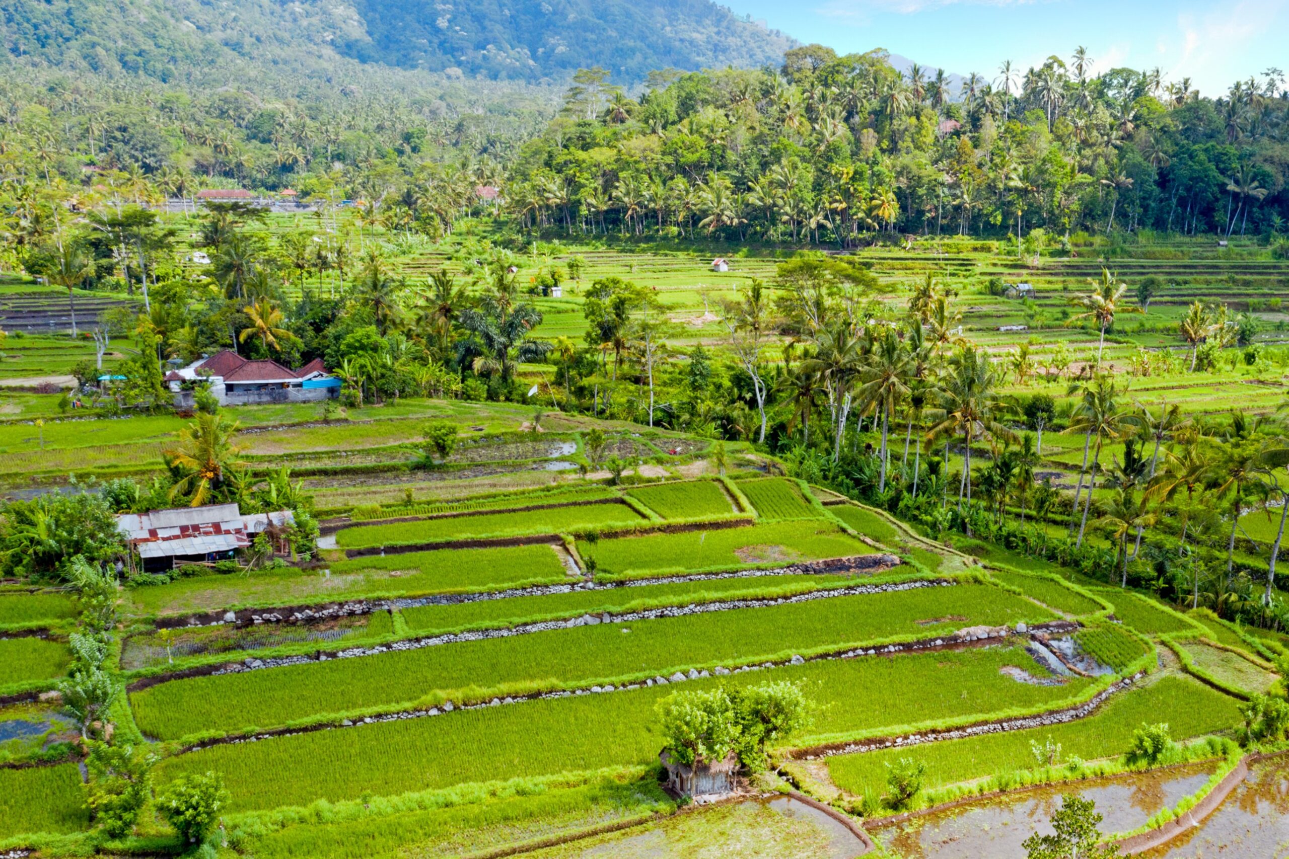 Aerial from rice terraces in Sidemen on Bali Indonesia
